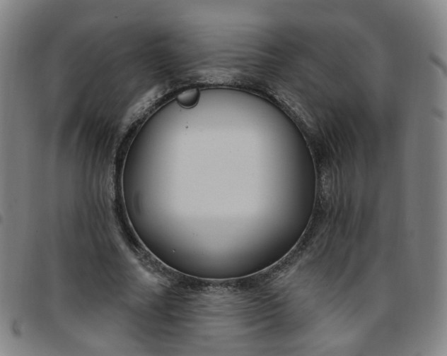 X0000097470682200803071654