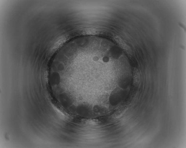 X0000097470683200803071654