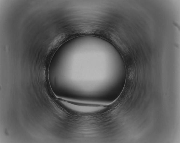 X0000097470685200803071654
