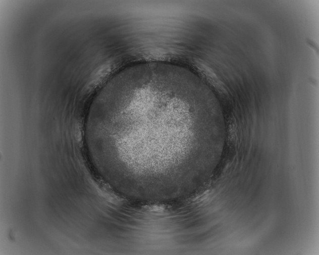 X0000097470687200803071654