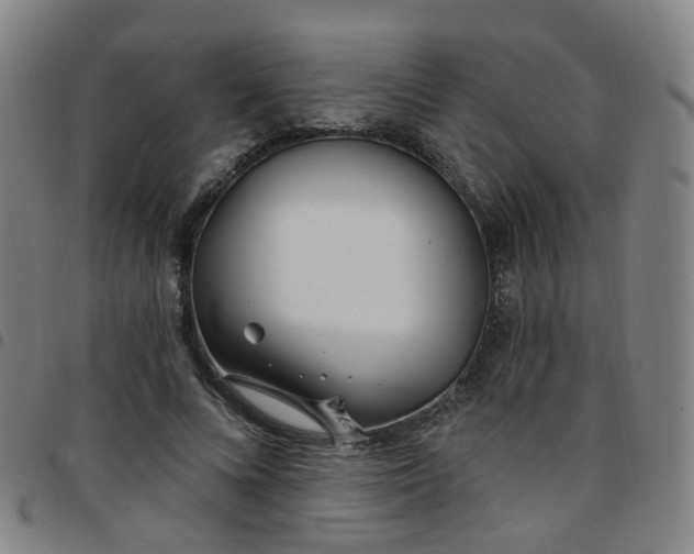 X0000097470688200803071654