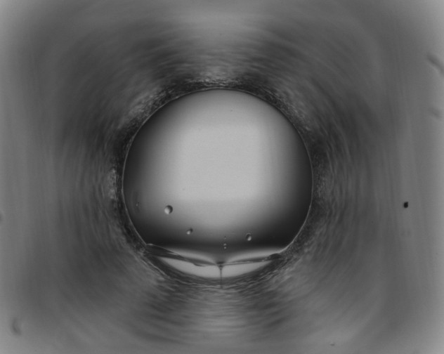 X0000097470689200803071654