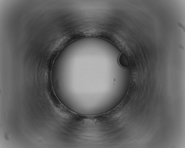 X0000097470690200803071654