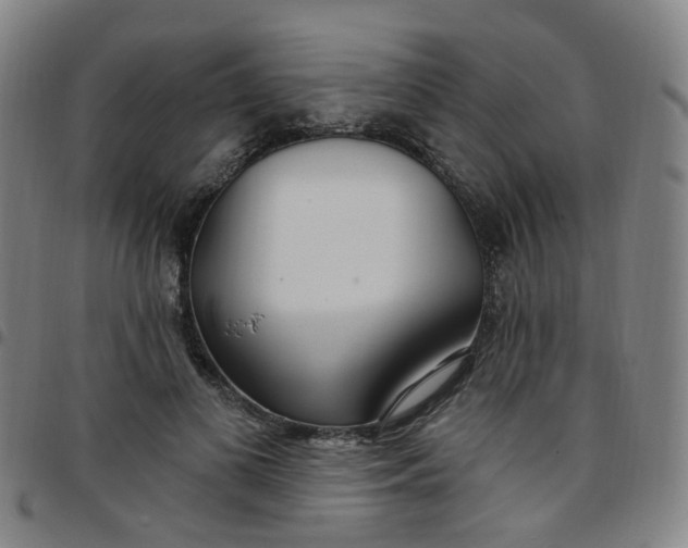 X0000097470693200803071654