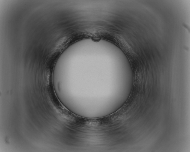 X0000097470694200803071654