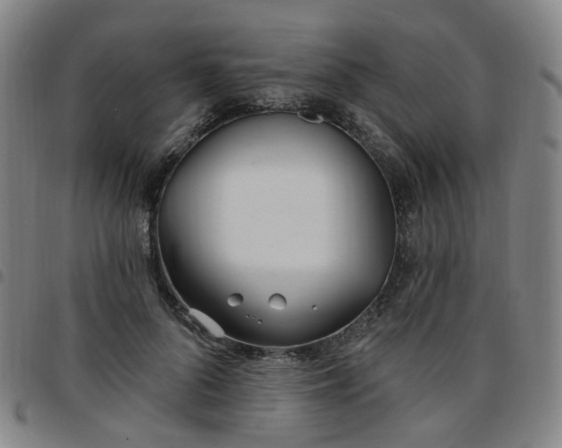 X0000097470696200803071654