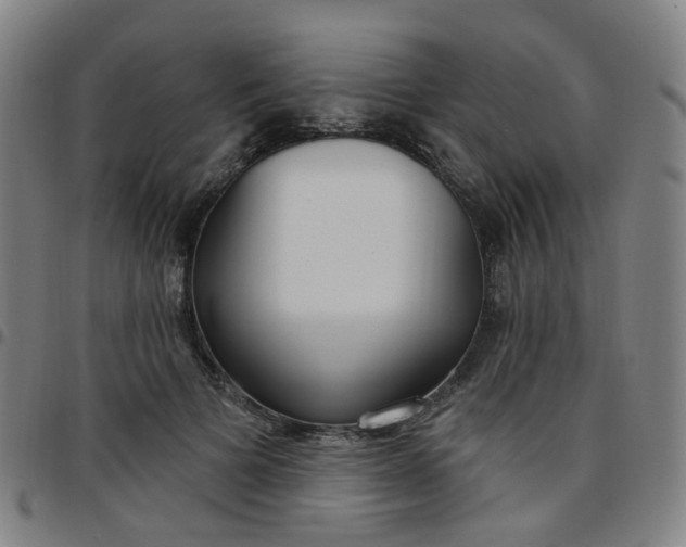 X0000097470697200803071654