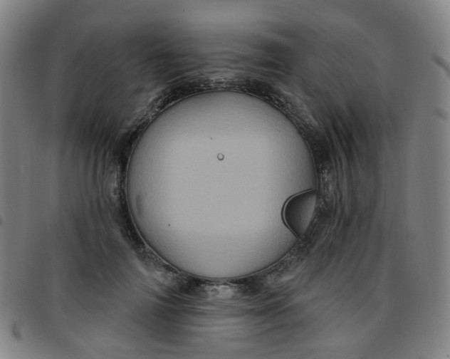 X0000097470698200803071654