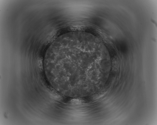 X0000097470699200803071654