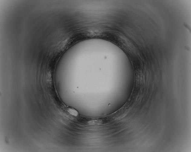 X0000097470700200803071654
