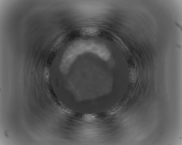 X0000097470701200803071653
