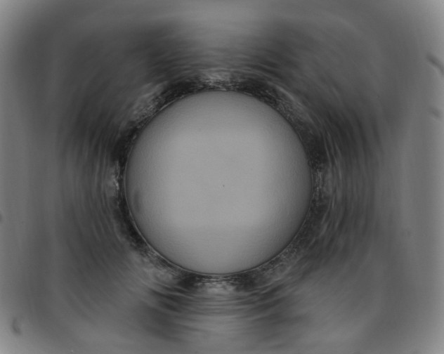 X0000097470702200803071653