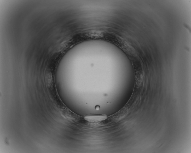 X0000097470704200803071653