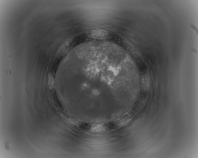 X0000097470705200803071653