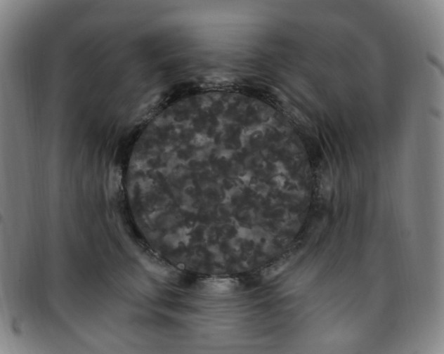 X0000097470711200803071653