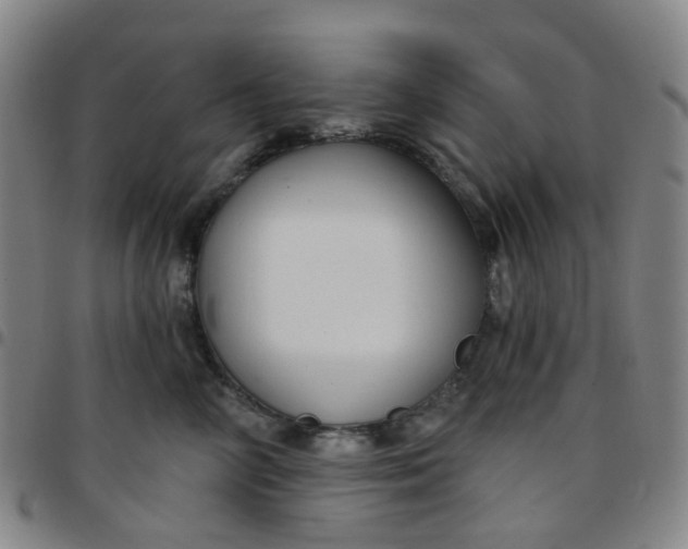 X0000097470714200803071653