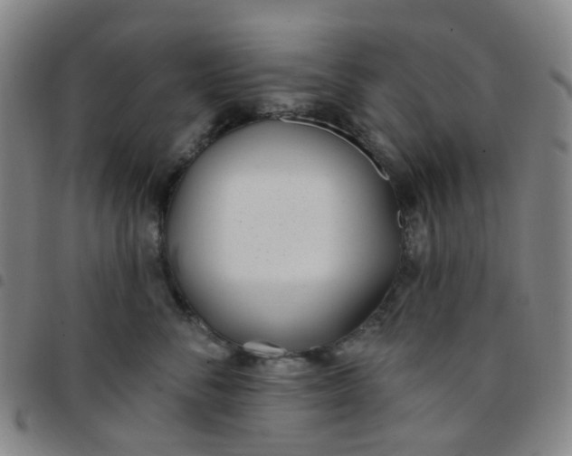 X0000097470716200803071653