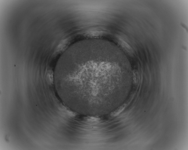 X0000097470718200803071653