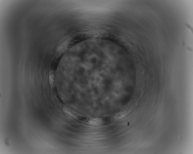X0000097470720200803071653