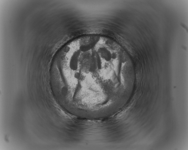 X0000097470721200803071653