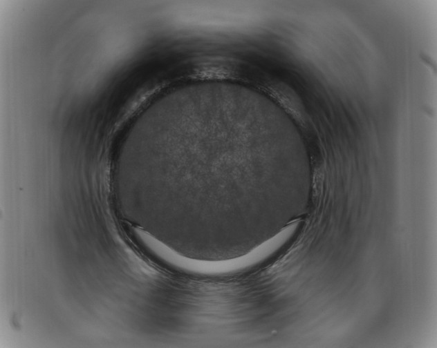 X0000097470722200803071653