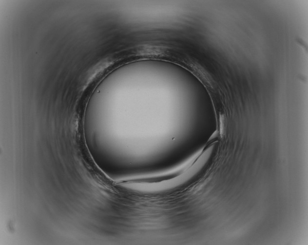 X0000097470723200803071653