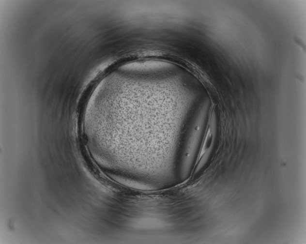 X0000097470726200803071653