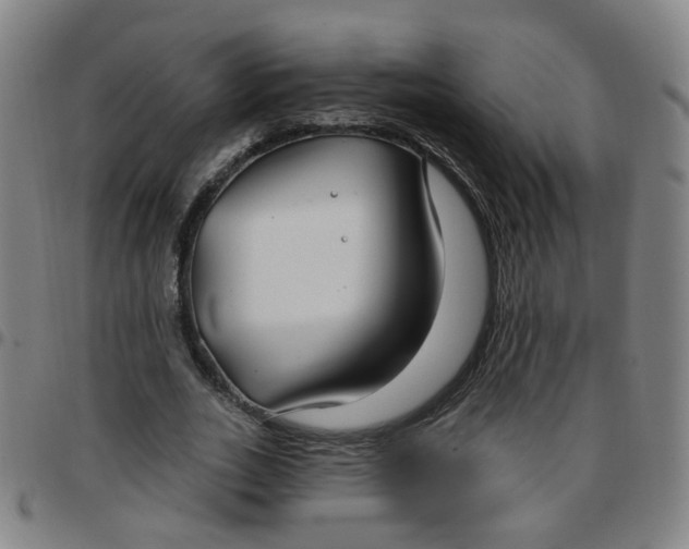 X0000097470727200803071653