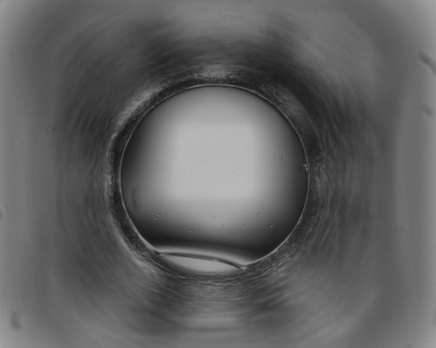 X0000097470728200803071653