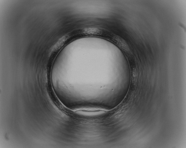 X0000097470734200803071653