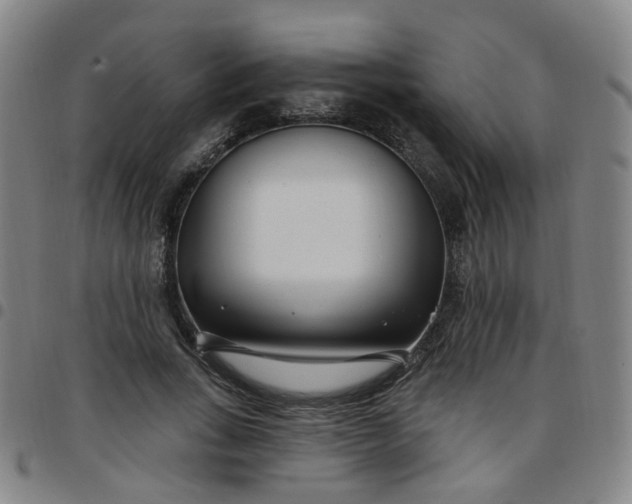 X0000097470735200803071653