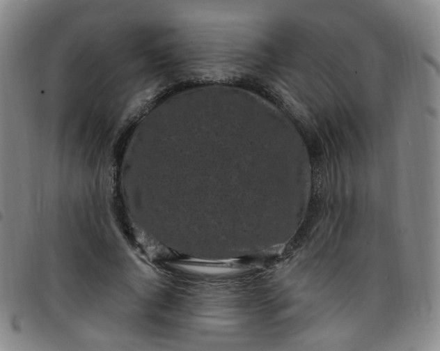 X0000097470736200803071653