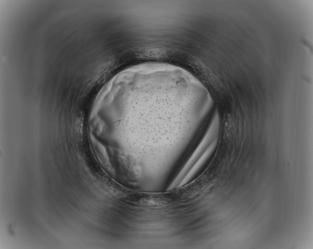 X0000097470739200803071653