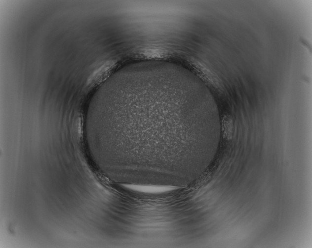 X0000097470740200803071653