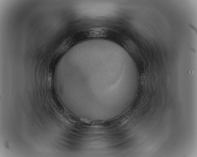 X0000097470741200803071653
