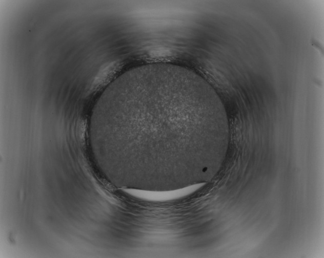 X0000097470742200803071653