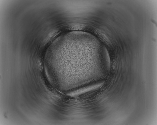 X0000097470743200803071653