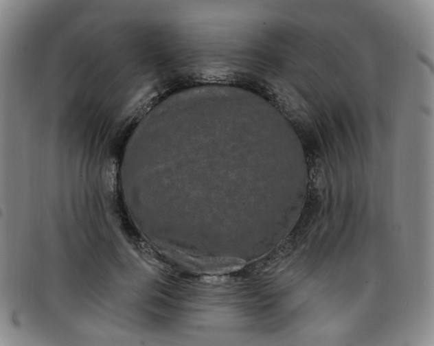 X0000097470744200803071653