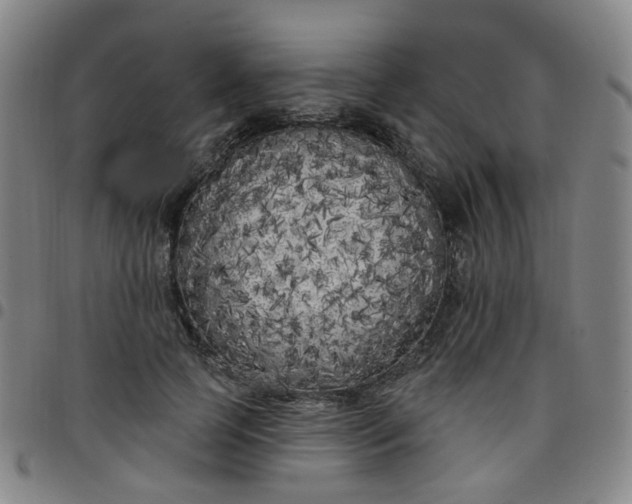 X0000097470745200803071653