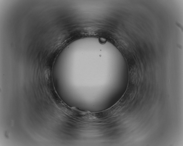 X0000097470747200803071653