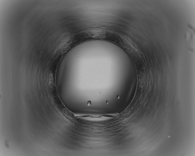 X0000097470748200803071653