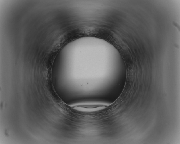 X0000097470750200803071653