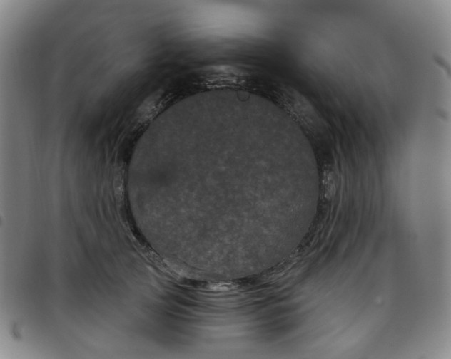 X0000097470753200803071653