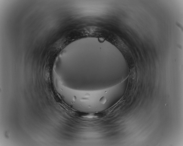 X0000097470754200803071653