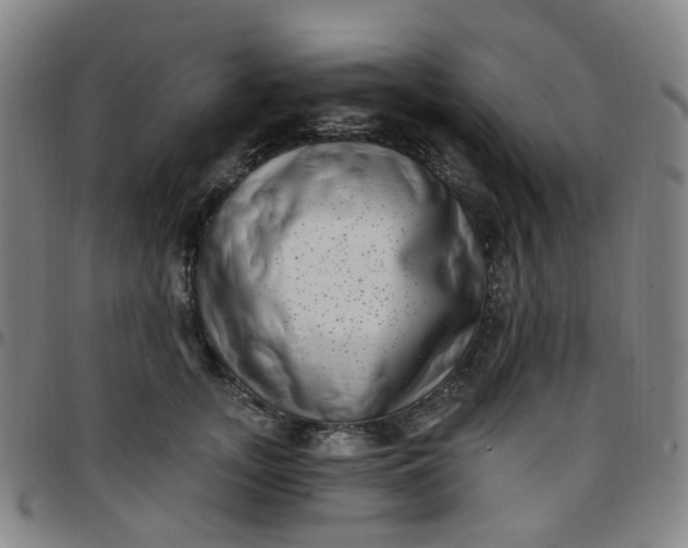 X0000097470755200803071653