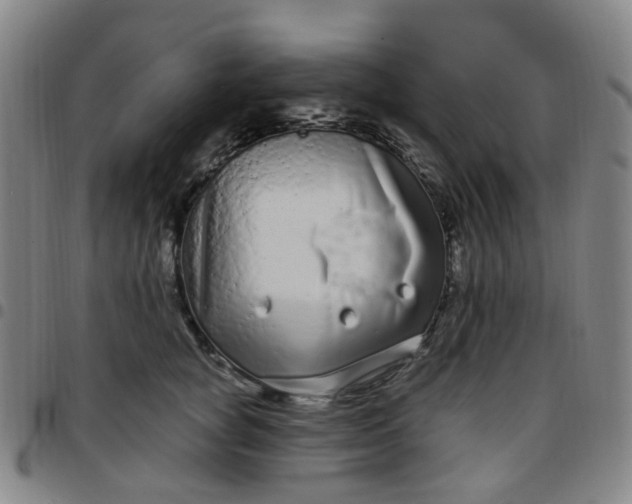 X0000097470757200803071653