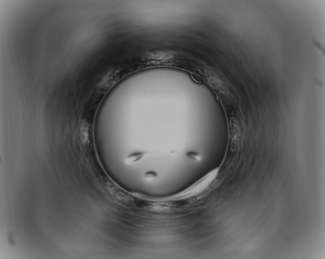 X0000097470758200803071653