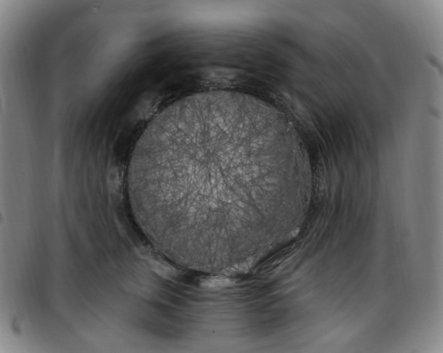 X0000097470759200803071653