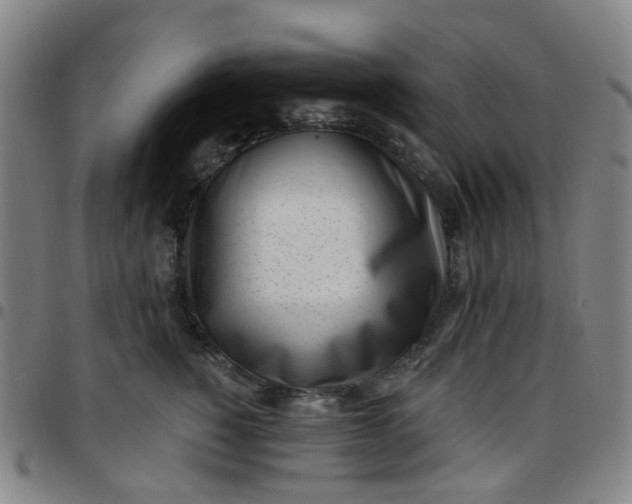 X0000097470760200803071653