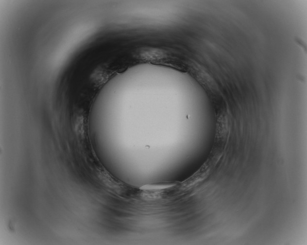 X0000097470762200803071653